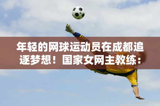 未来增添了