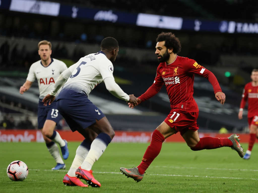 他穩定的心 他穩定的心